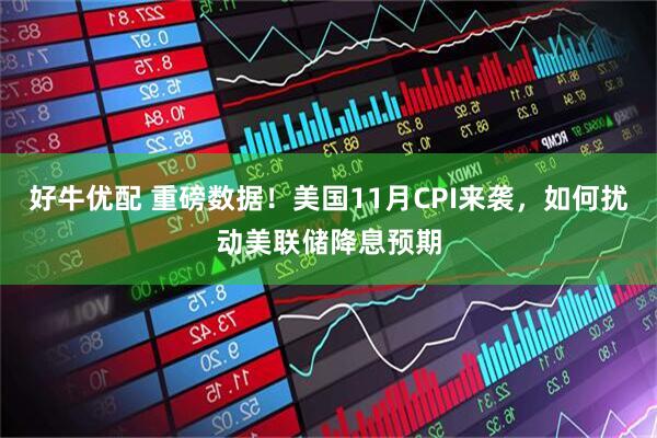 好牛优配 重磅数据！美国11月CPI来袭，如何扰动美联储降息预期