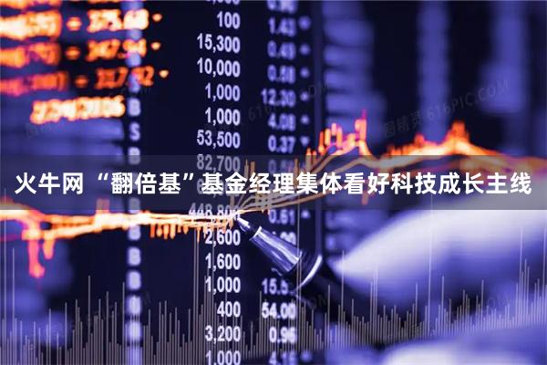 火牛网 “翻倍基”基金经理集体看好科技成长主线