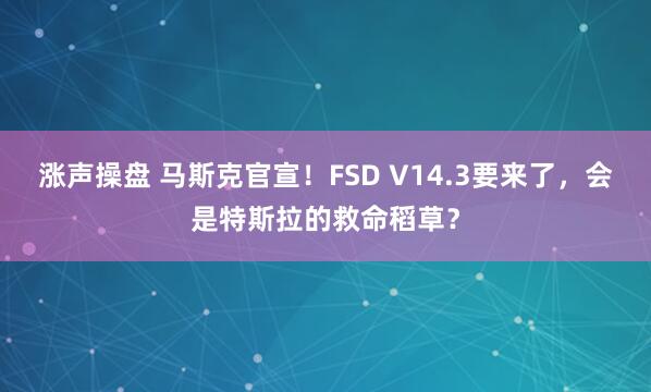涨声操盘 马斯克官宣！FSD V14.3要来了，会是特斯拉的救命稻草？