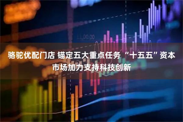 骆驼优配门店 锚定五大重点任务 “十五五”资本市场加力支持科技创新
