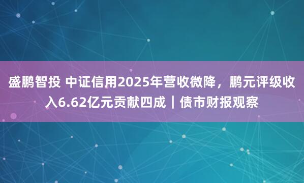 盛鹏智投 中证信用2025年营收微降，鹏元评级收入6.62亿元贡献四成｜债市财报观察
