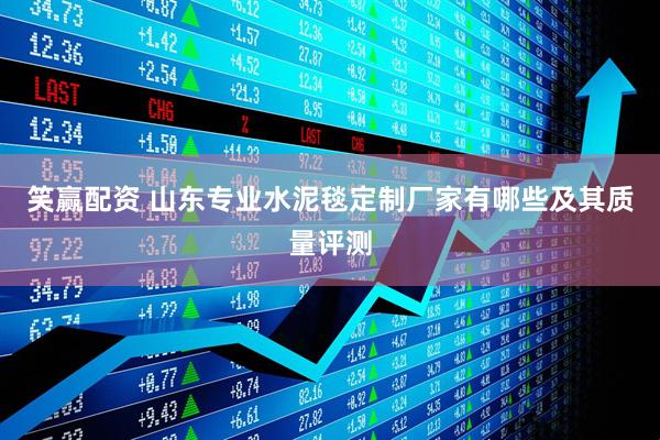 笑赢配资 山东专业水泥毯定制厂家有哪些及其质量评测