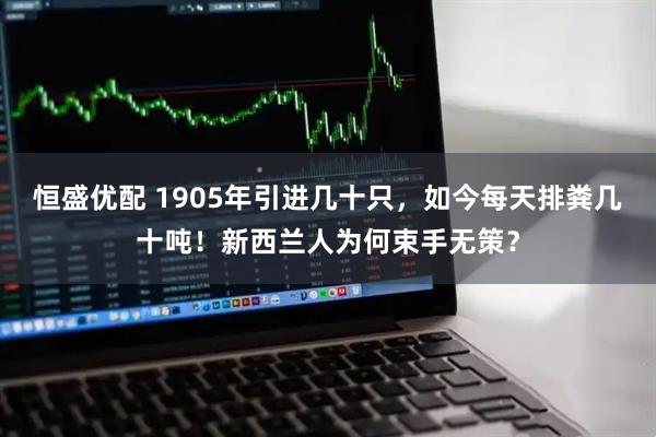 恒盛优配 1905年引进几十只，如今每天排粪几十吨！新西兰人为何束手无策？