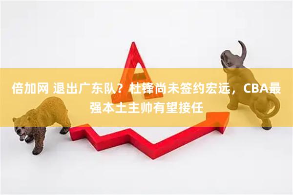 倍加网 退出广东队？杜锋尚未签约宏远，CBA最强本土主帅有望接任