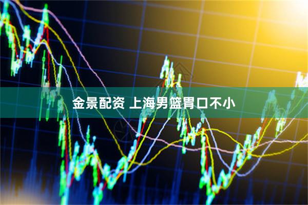 金景配资 上海男篮胃口不小