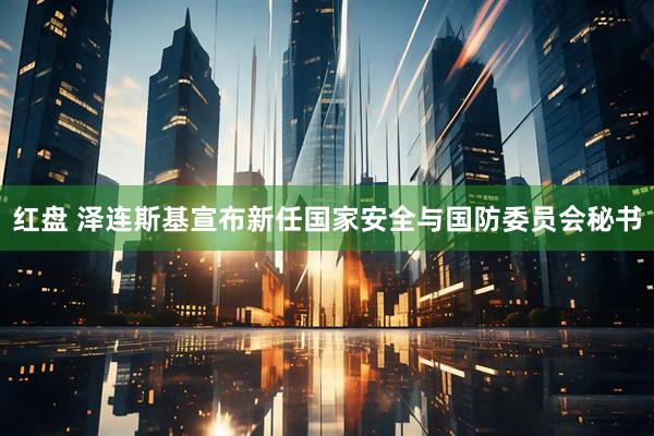 红盘 泽连斯基宣布新任国家安全与国防委员会秘书