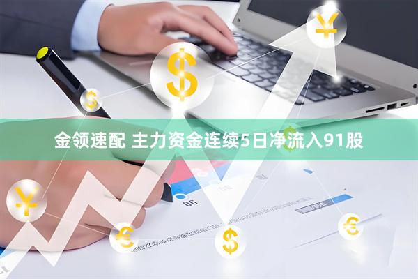 金领速配 主力资金连续5日净流入91股