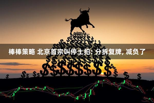 棒棒策略 北京首宗叫停土拍: 分拆复牌, 减负了